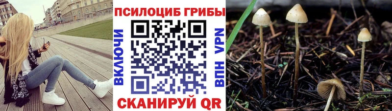 Псилоцибиновые грибы MAGIC MUSHROOMS omg как войти Десногорск где продают