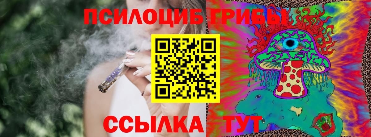 Псилоцибиновые грибы мухоморы Десногорск