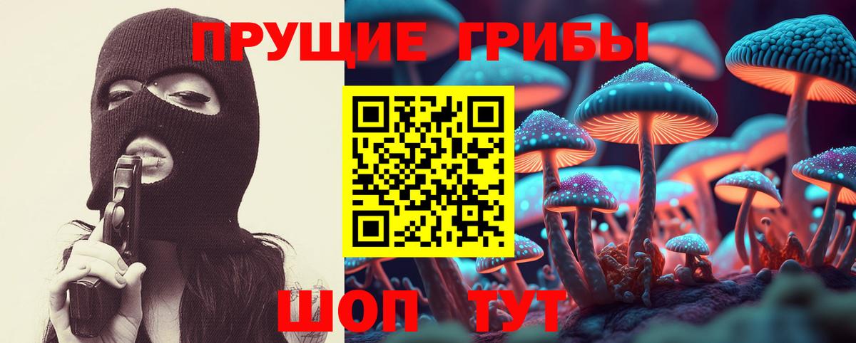 Десногорск  Псилоцибиновые грибы прущие грибы  Вход с VPN 
